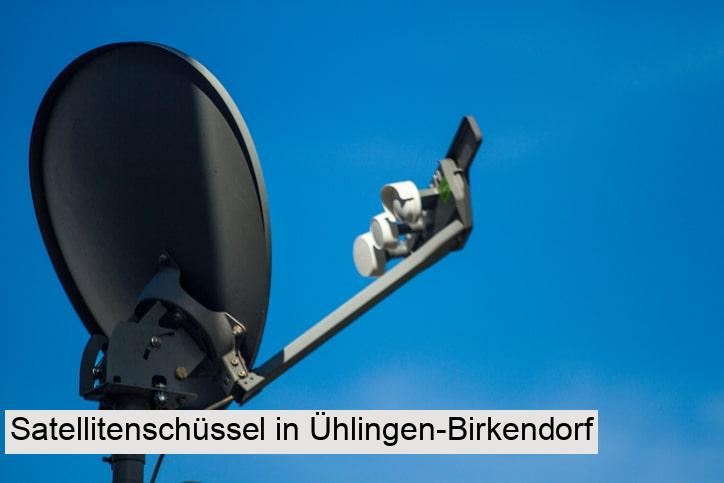 Satellitenschüssel in Ühlingen-Birkendorf